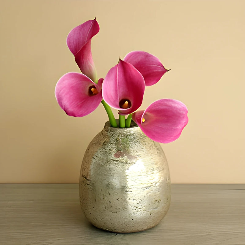 Pink Persuasion Mini Calla Lily Flower