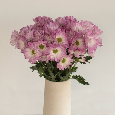 Daisy Airbrush Vase - Image