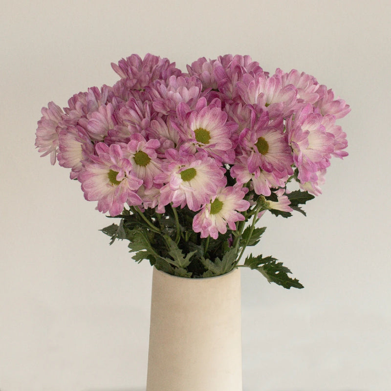 Daisy Airbrush Vase - Image