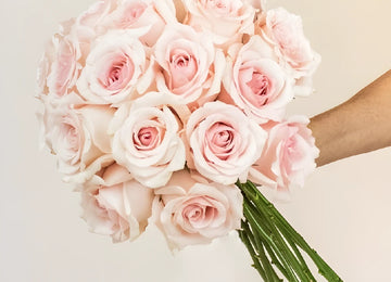 Pink Suspiro Roses Hand - Image