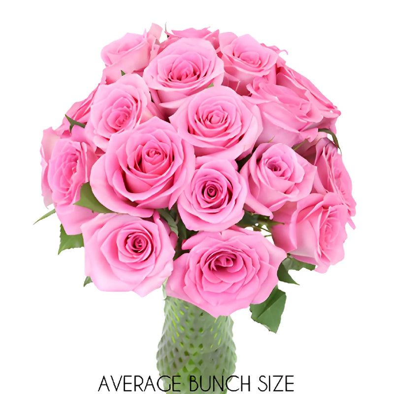 Pink Sweetheart Roses
