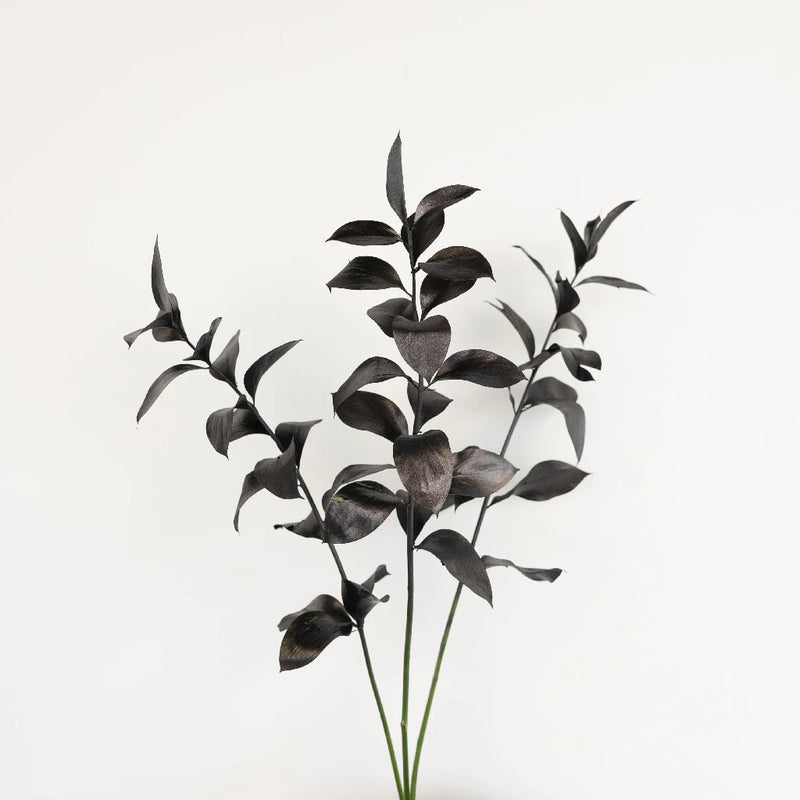 Black Tinted Ruscus Greenery Stem - Image