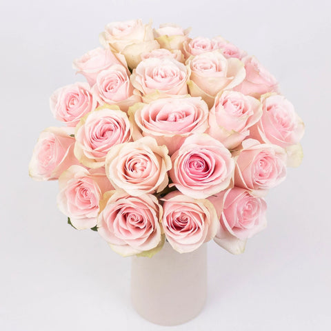 Frutteto Light Pink Roses in Vase