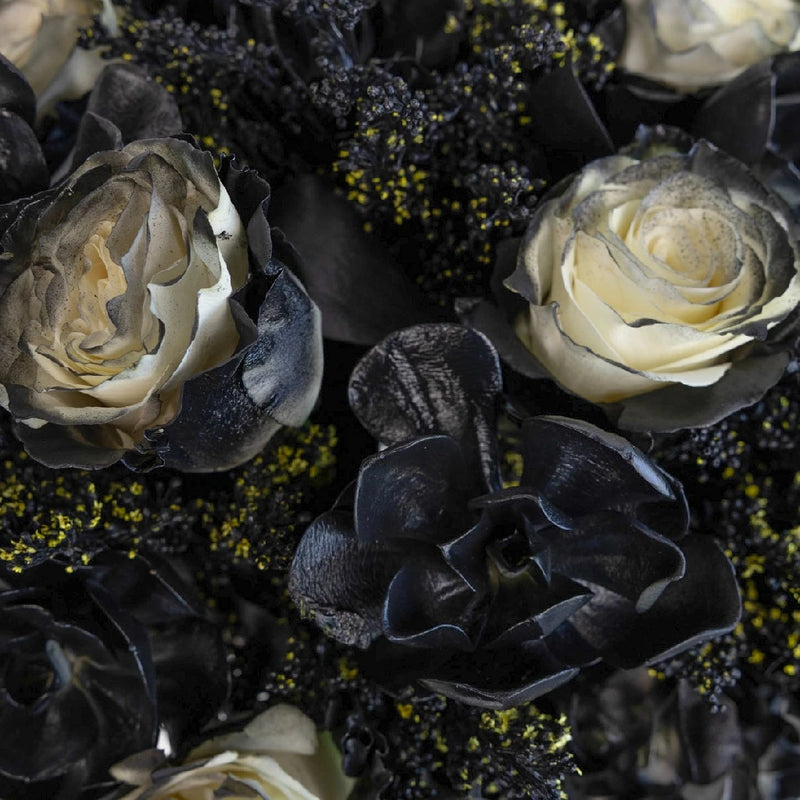 Black Velvet Diy Flower Kit Close Up - Image