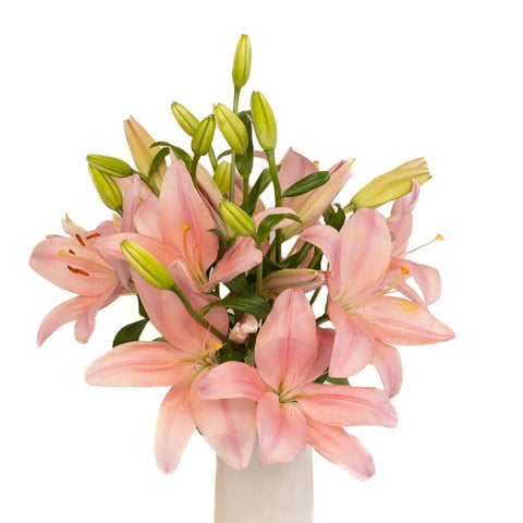 Pinky Mauve Hybrid Lily Vase - Image