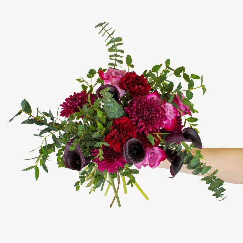 Plum Purple Perfection Flower in Hand