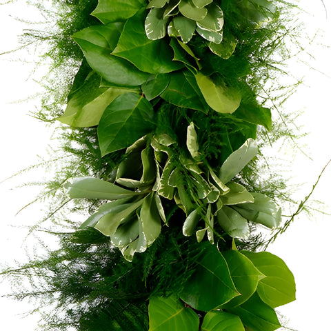 Plumosa Medley Greens Garland