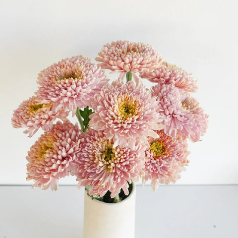 Powder Pink Bahlia Flower Vase - Image
