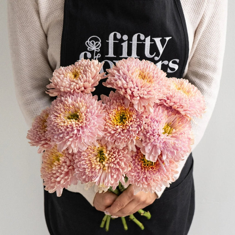 Powder Pink Bahlia Flower Apron - Image