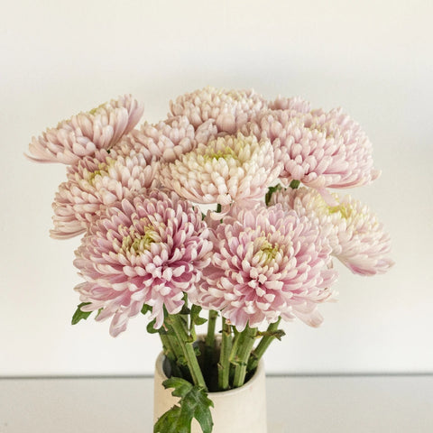 Rossand Dark Vase - Image