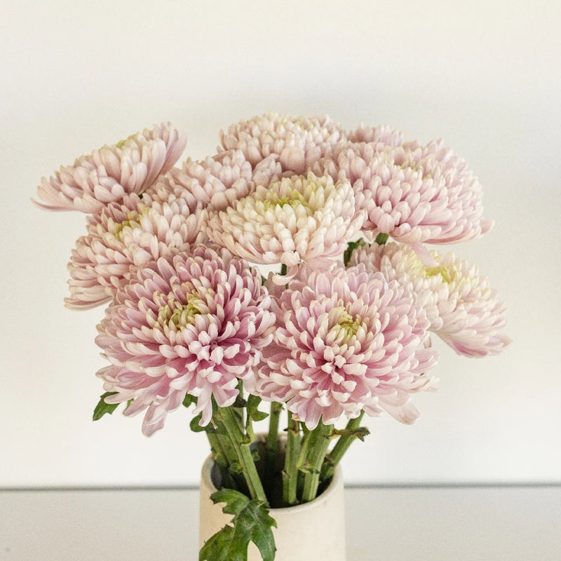 Rossand Dark Vase - Image
