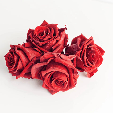 Preserved Deep Red Rose Apron - Image
