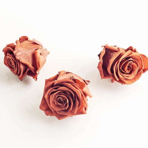Preserved Oak Brown Rose Stem - Image