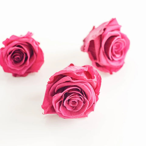 Preserved Wine Rose Stem - Image