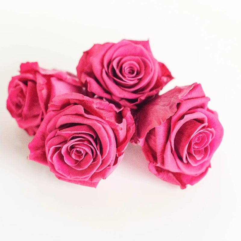 Preserved Wine Rose Apron - Image