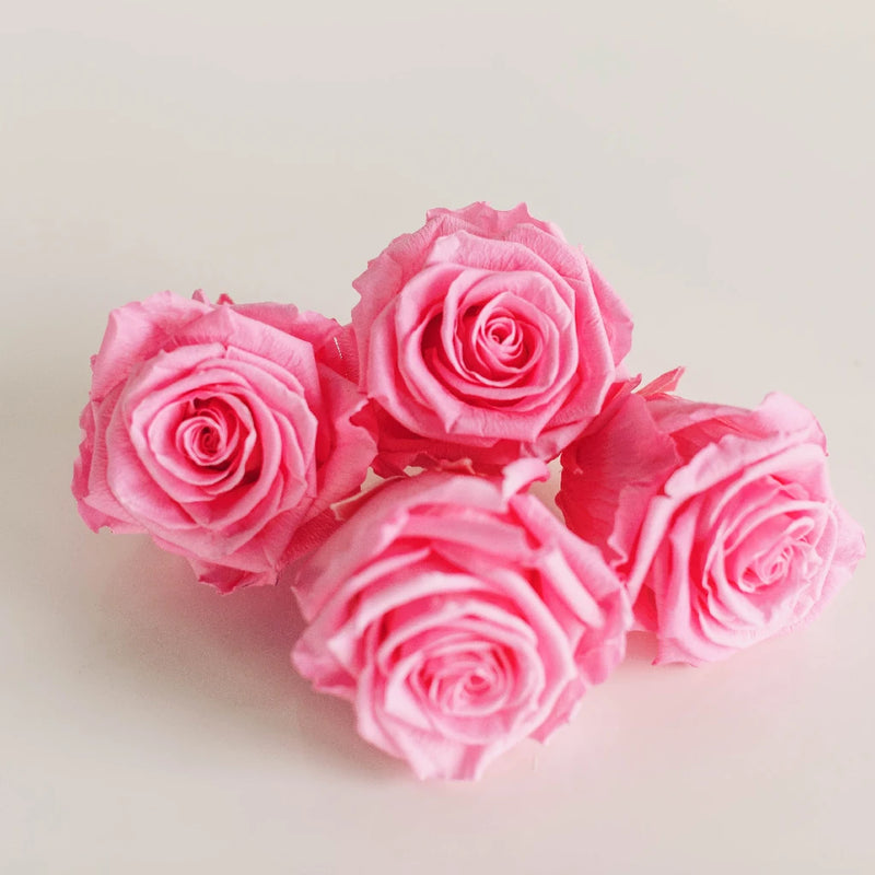 Preserved Classic Pink Rose Apron - Image