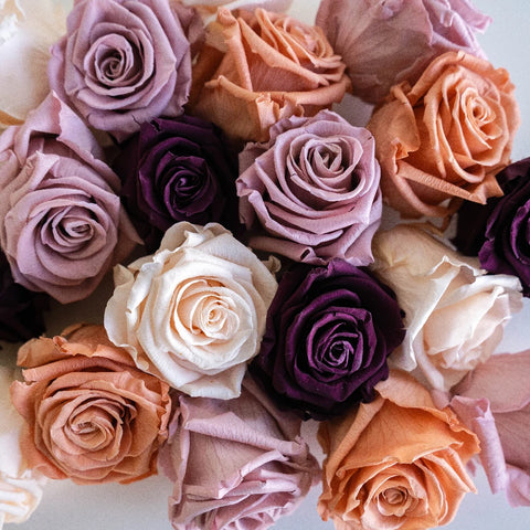 Preserved Rosey Sunset Mix Vase - Image