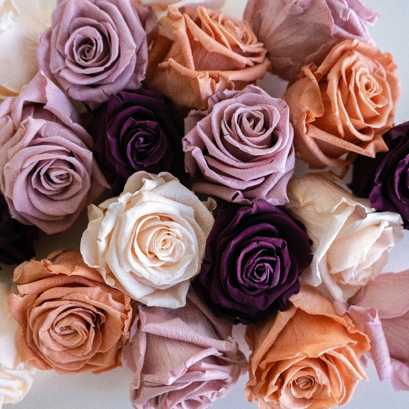 Preserved Rosey Sunset Mix Vase - Image