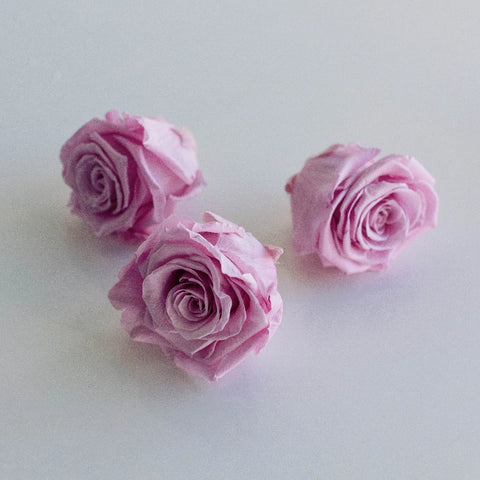 Preserved Vintage Pink Rose Stem - Image