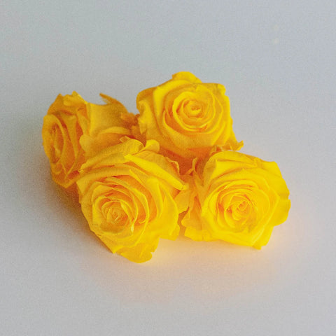 Preserved Yellow Rose Apron - Image