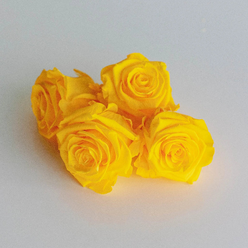 Preserved Yellow Rose Apron - Image