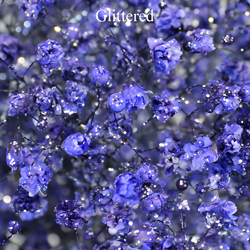 Purple Airbrushed Baby's Breath Flower
