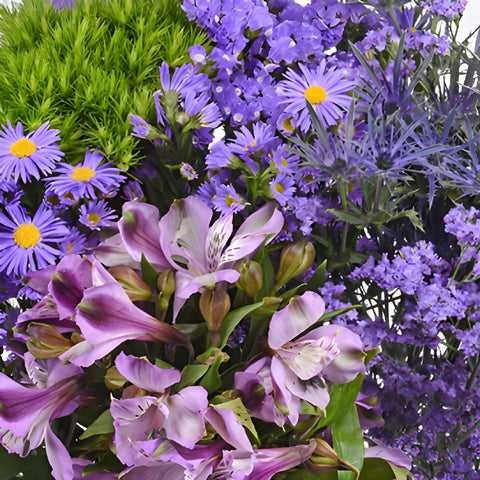 Purple and Lavender Hues DIY Flower Kit