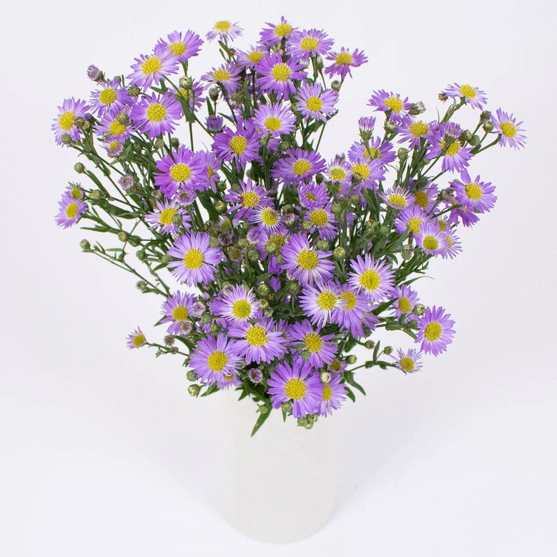 Purple Aster Flowers Bunch in Vase
