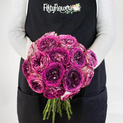 Brujas Purple Wholesale Garden Rose Bunch In a Hand