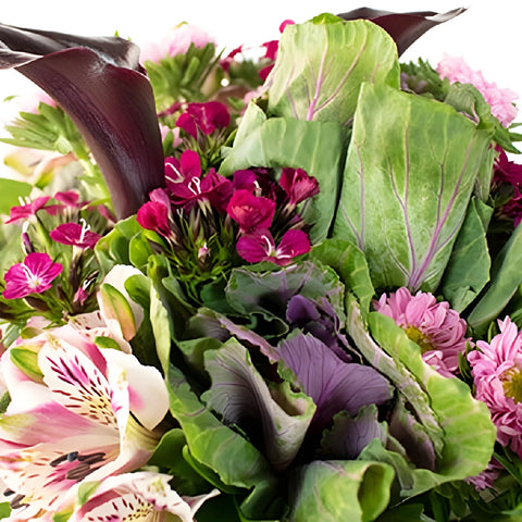 Purple Fiesta Fresh Flower Bouquet Close Up - Image