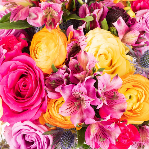 Rainbow Flower Bouquet Up Close