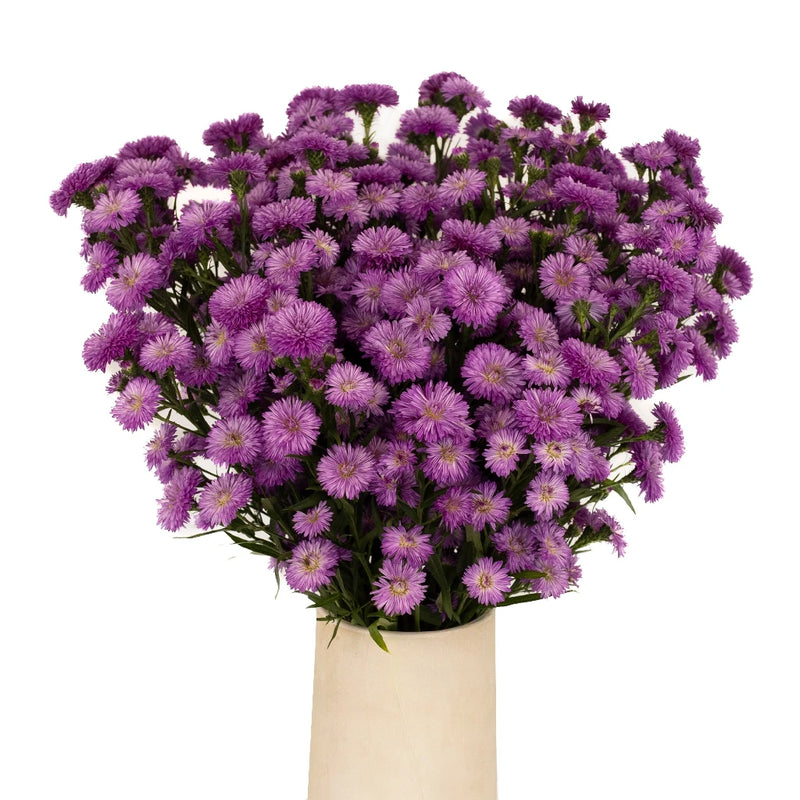 Hot Pink Duplo Aster Vase - Image