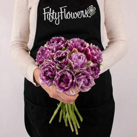 Purple Frill Tulips Flower Bunch in Hand