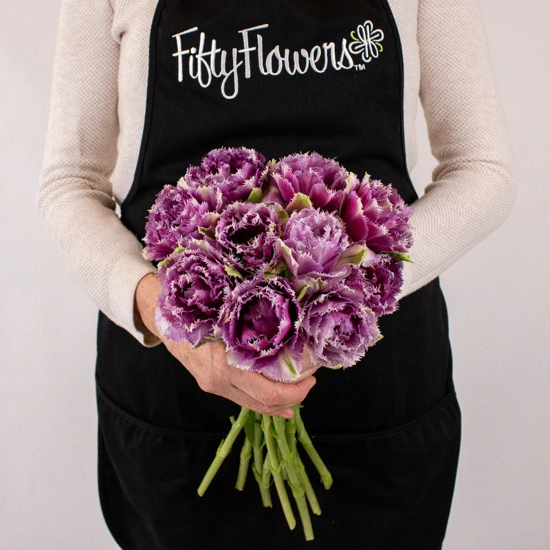 Purple Frill Tulips Flower Bunch in Hand