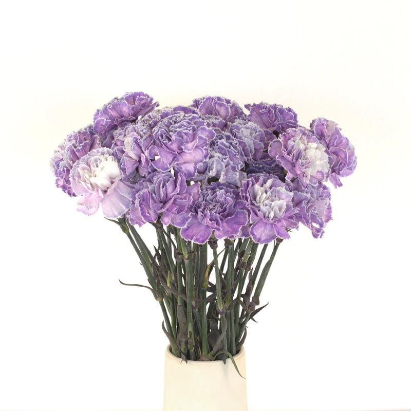 Carmel Vase - Image