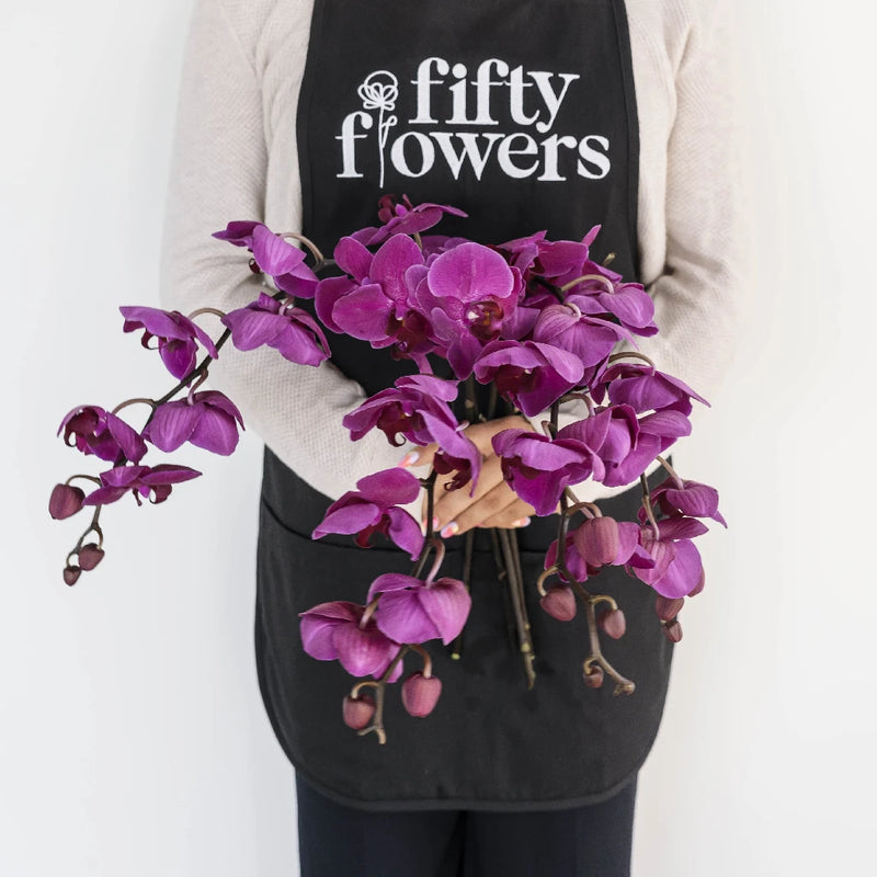 Phalaenopsis Orchid Purple Flower Apron - Image