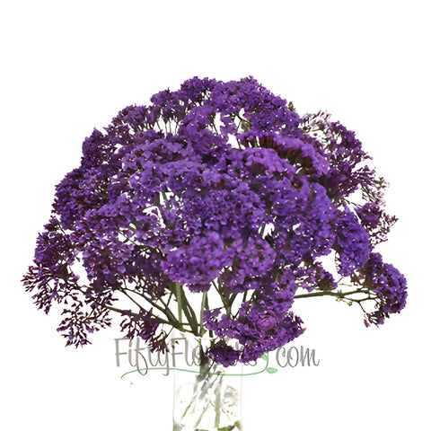 Purple Sea Foam Statice Flower