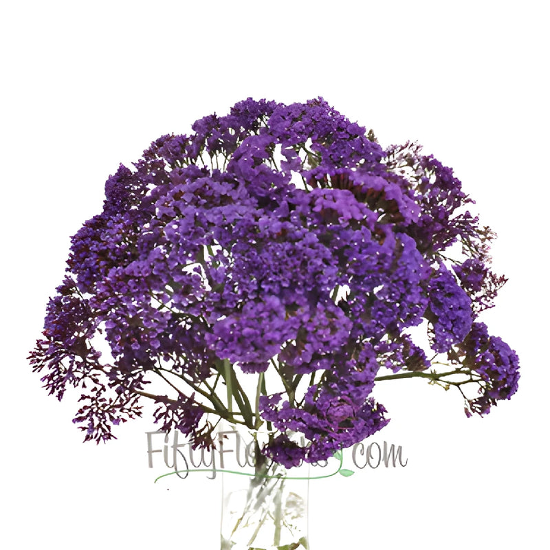Purple Sea Foam Statice Flower