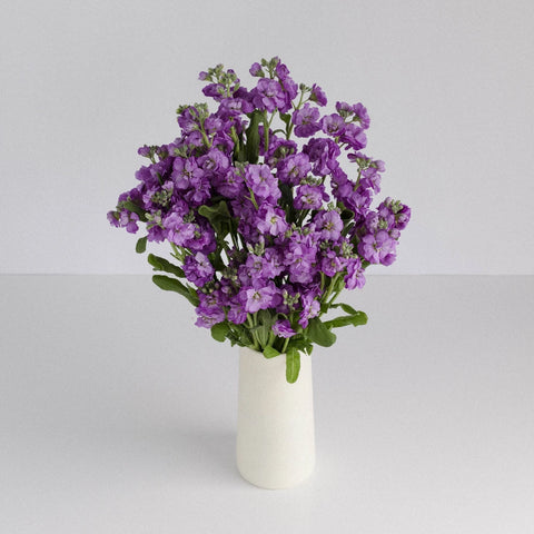 Spray Stock Purple Flower Vase - Image