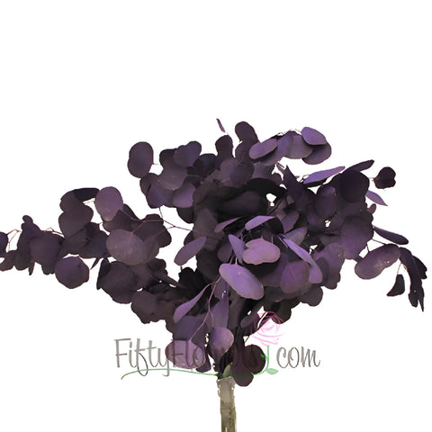 Purple Tinted Silver Dollar Eucalyptus Greenery