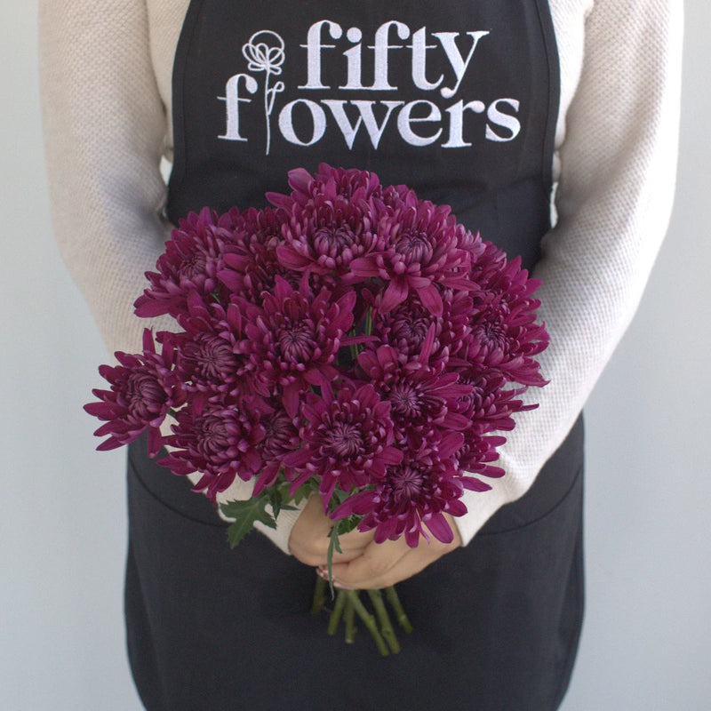 Purpleberry Dahlia Style Cushion Flower Apron - Image