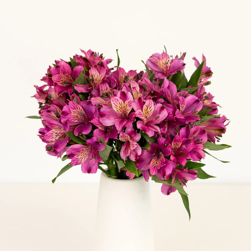 Purpleberry Peruvian Lilies Vase - Image