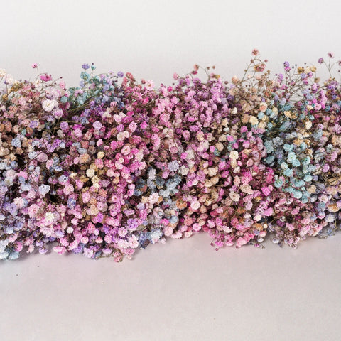 Rainbow Baby's Breath Tinted Garland Close Up - Image