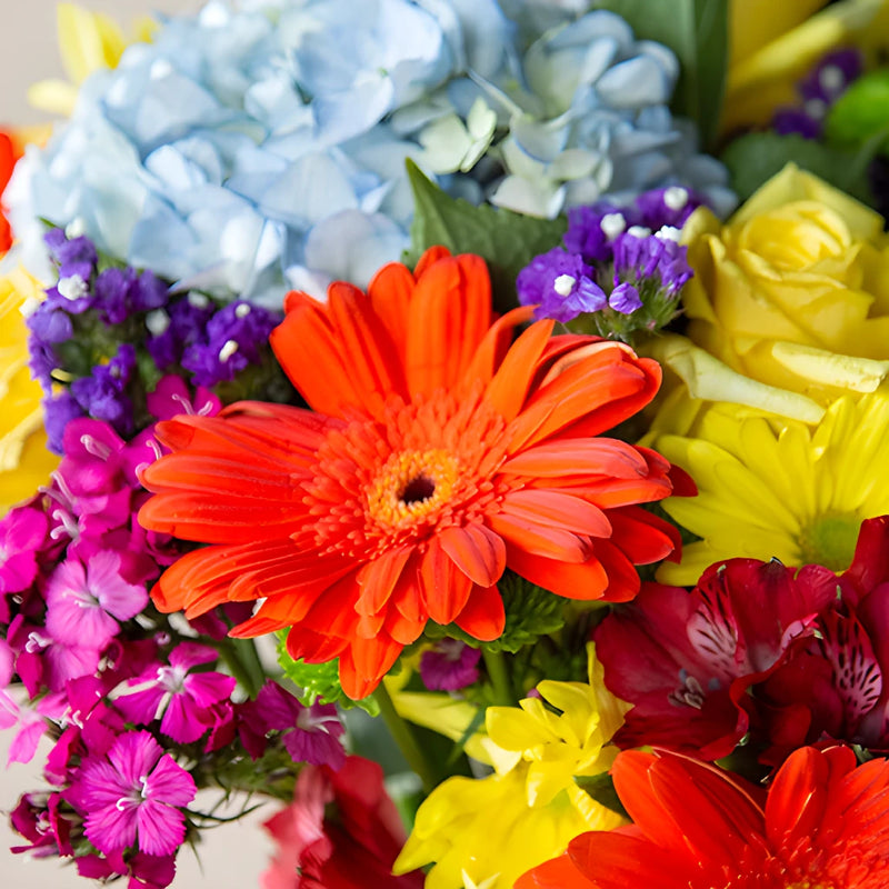 Celebration Rainbow Flower Bouquet Up Close