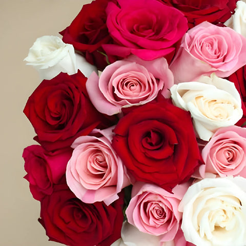Rainbows Of Love Valentines Day Roses Close Up - Image