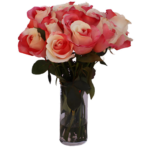 Red and White Tinted Rainbow Roses