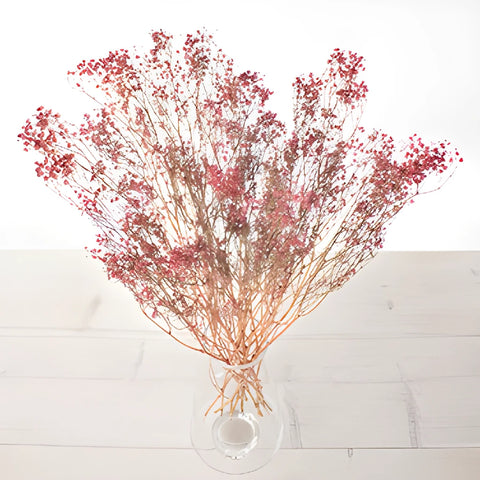 Red Dried Baby's Breath Flower