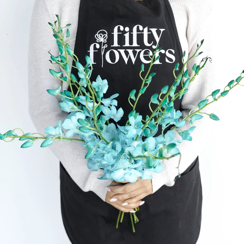 Blue Dendrobium Orchids - Image