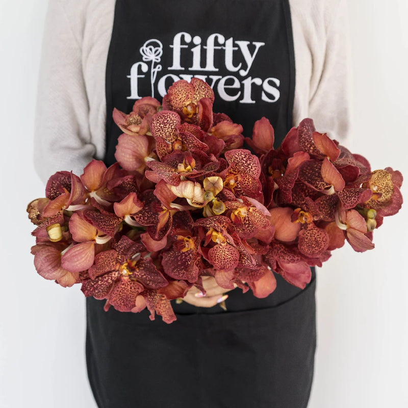 Vanda Orchids Red Magic Apron - Image