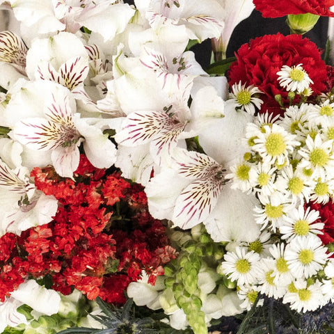 Red Textured Filler Flower Pack Close Up - Image